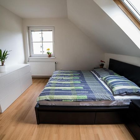 Apartmany Hasicarna Horni Vltavice Exterior photo