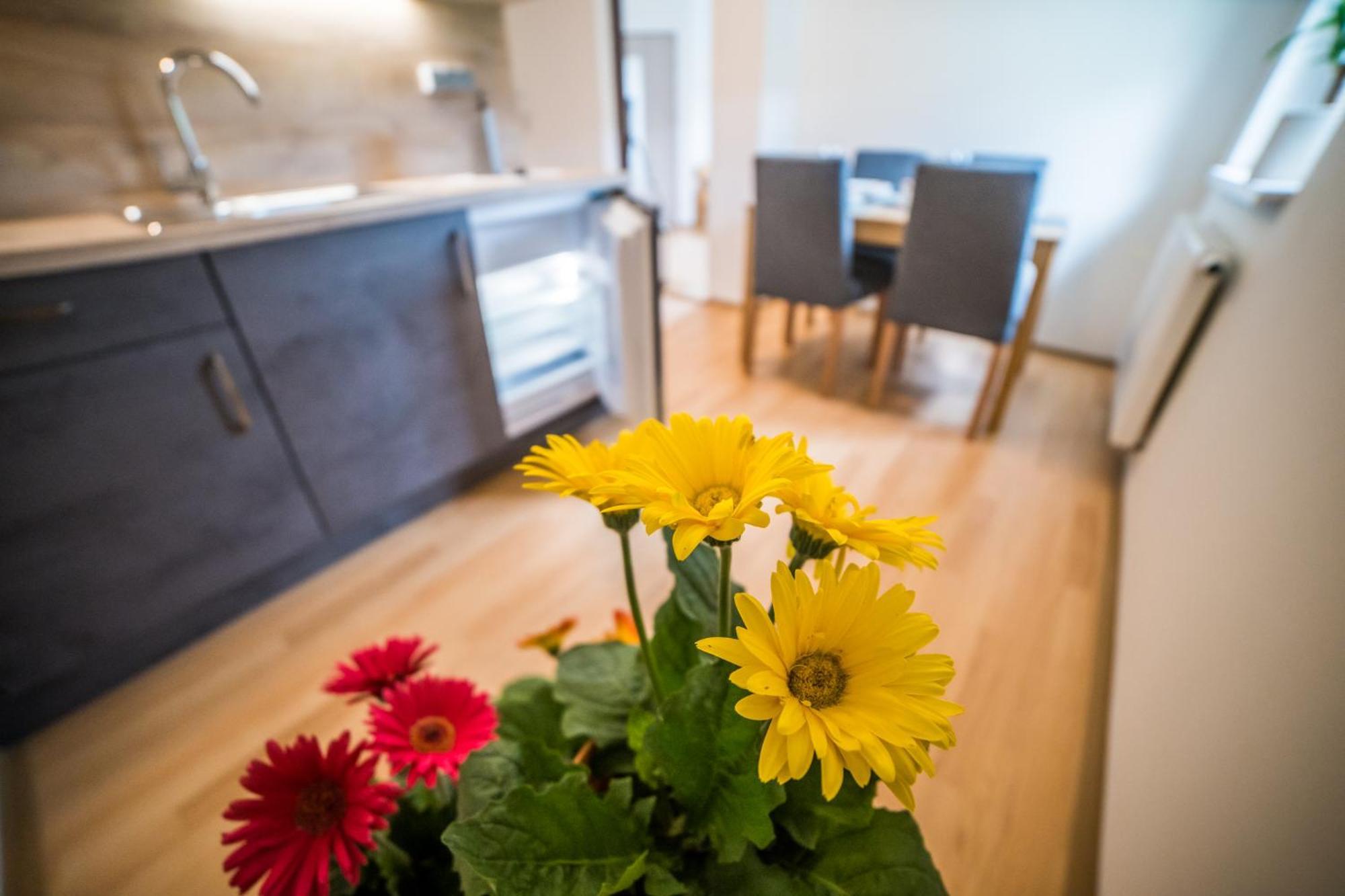 Apartmany Hasicarna Horni Vltavice Exterior photo