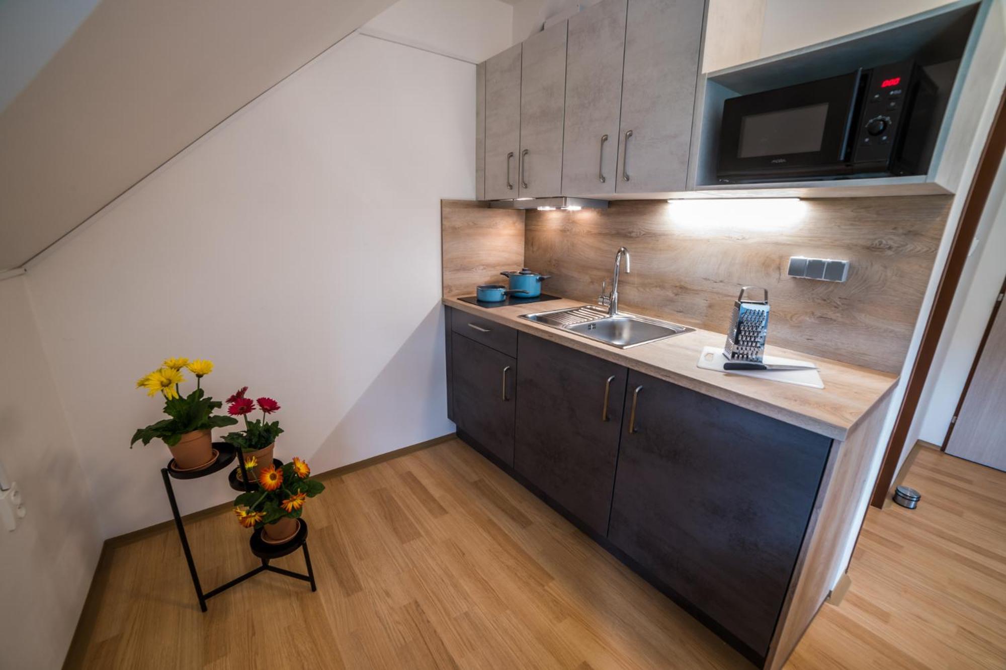 Apartmany Hasicarna Horni Vltavice Exterior photo